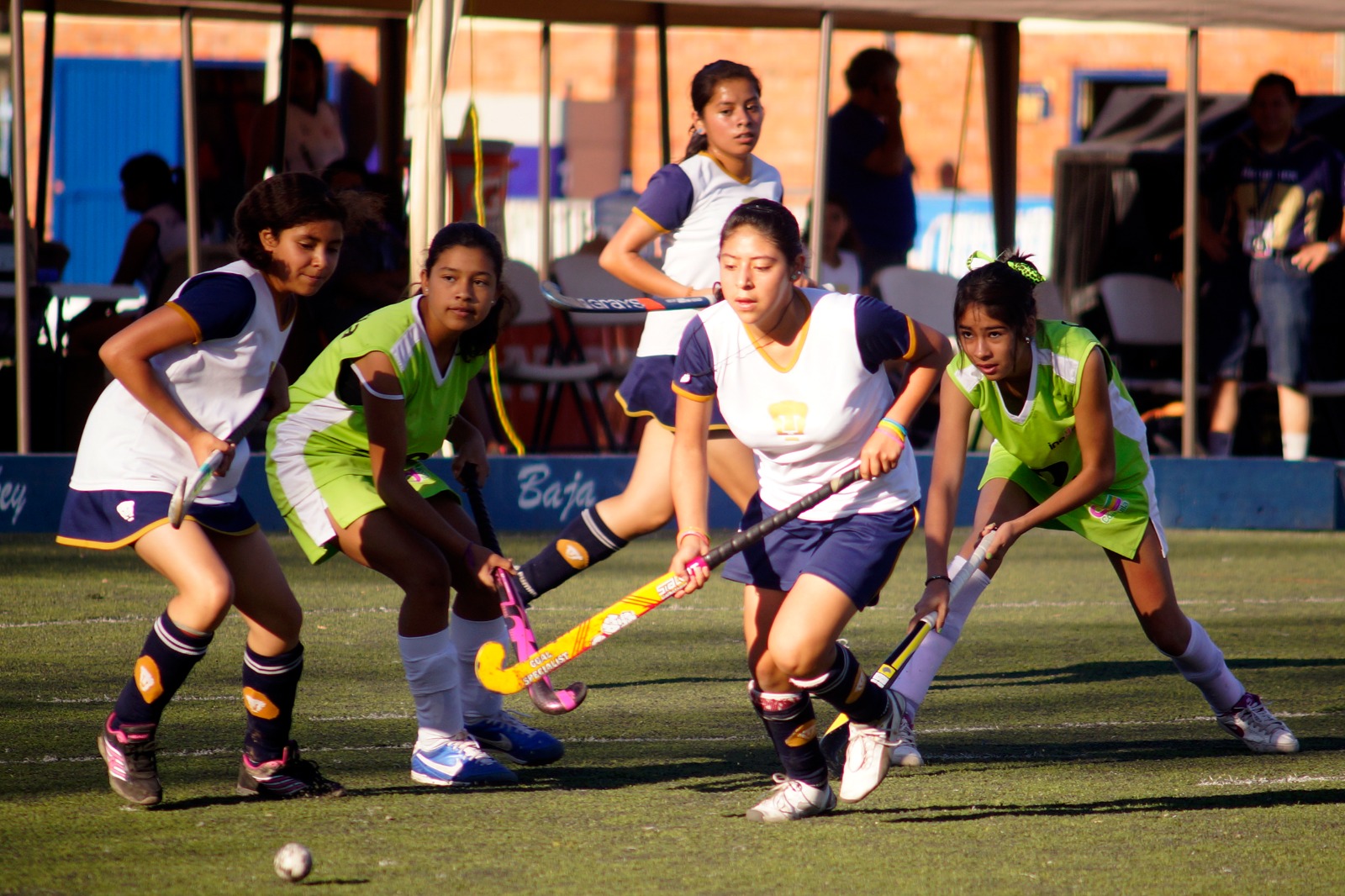 BUSCA LA UNAM EXPANDIR EL HOCKEY EN MÉXICO Titansports