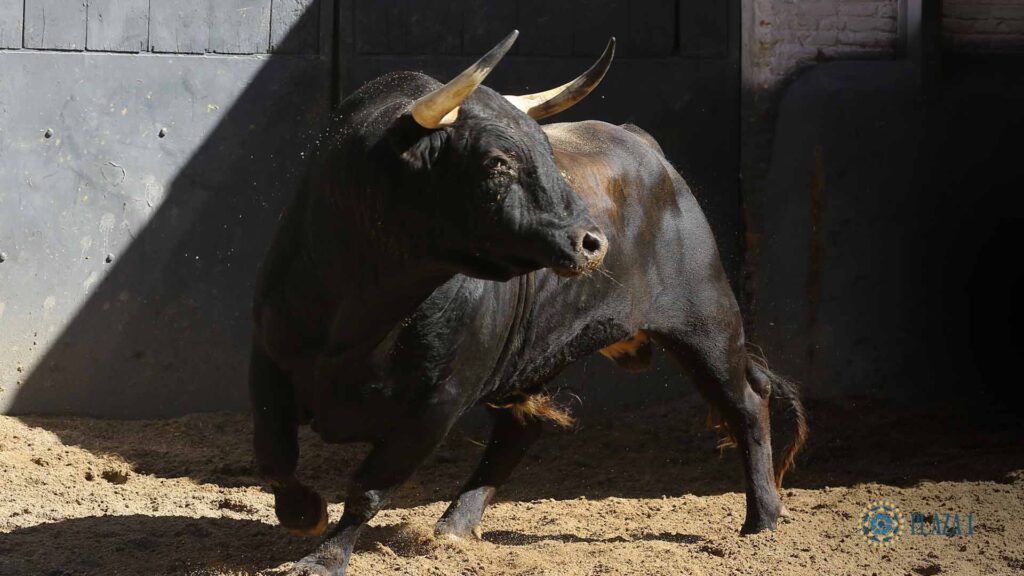 LAS VENTAS SEPTIEMBRE