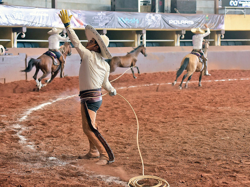 SOYATE RANCHO EXCELENCIA CHARRA