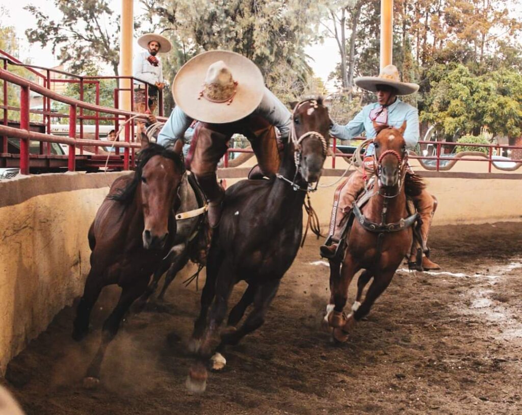 ALL HORSES MÁQUINA 501 CAMPEONES CDMX