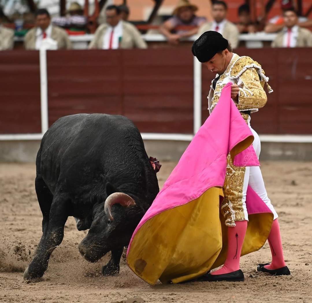 JOSÉ MAURICIO XICO