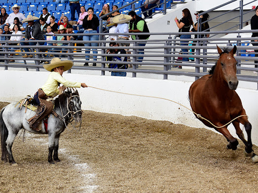 FINALISTAS CHARRO COMPLETO NACIONALITO