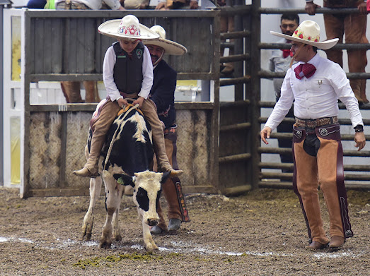 DIENTES DE LECHE NACIONALITO