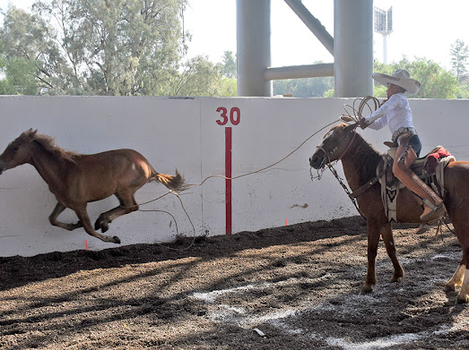 CHARROS COMPLETOS INFANTIL A