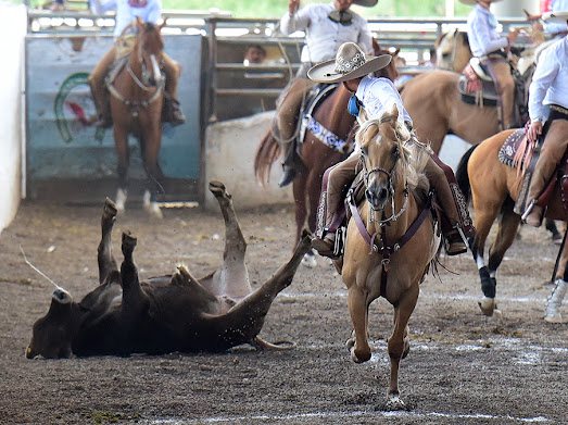 FINALISTAS RANCHO COMPLETO INFANTIL