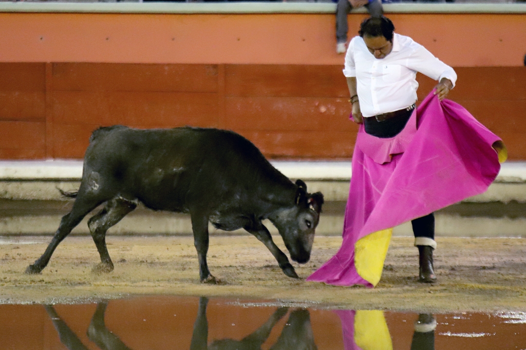 TERCERA ROMERÍA TAURINA APIZACO