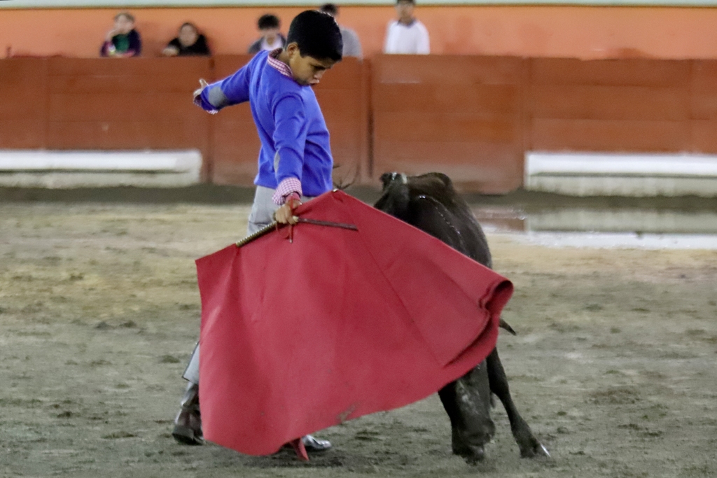 TERCERA ROMERÍA TAURINA APIZACO