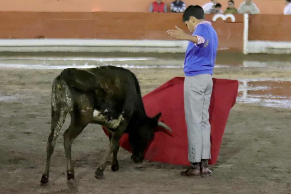 TERCERA ROMERÍA TAURINA APIZACO