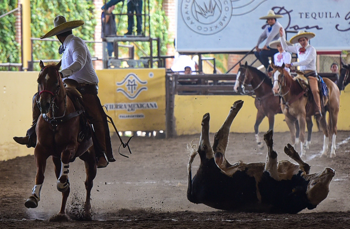 UNIDOS DE HIDALGO Y PERRON 