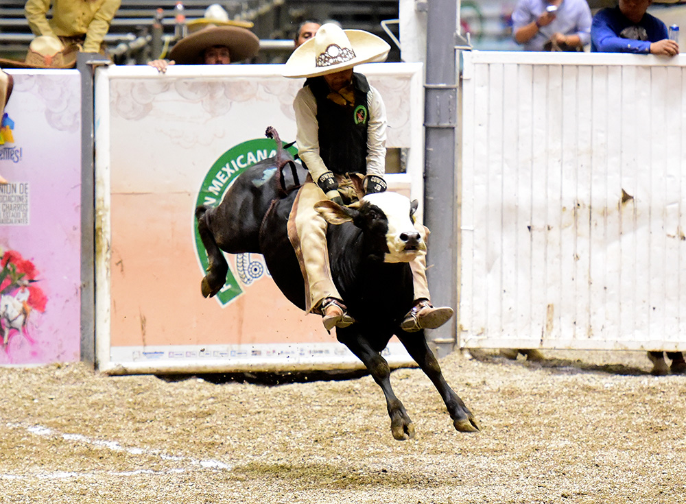 TEQUILA CUADRA NACIONALITO