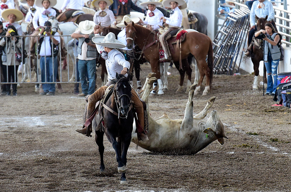 TEQUILA CUADRA NACIONALITO 