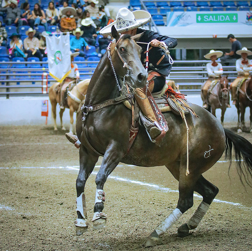 FINAL CHARRO COMPLETO JUVENIL