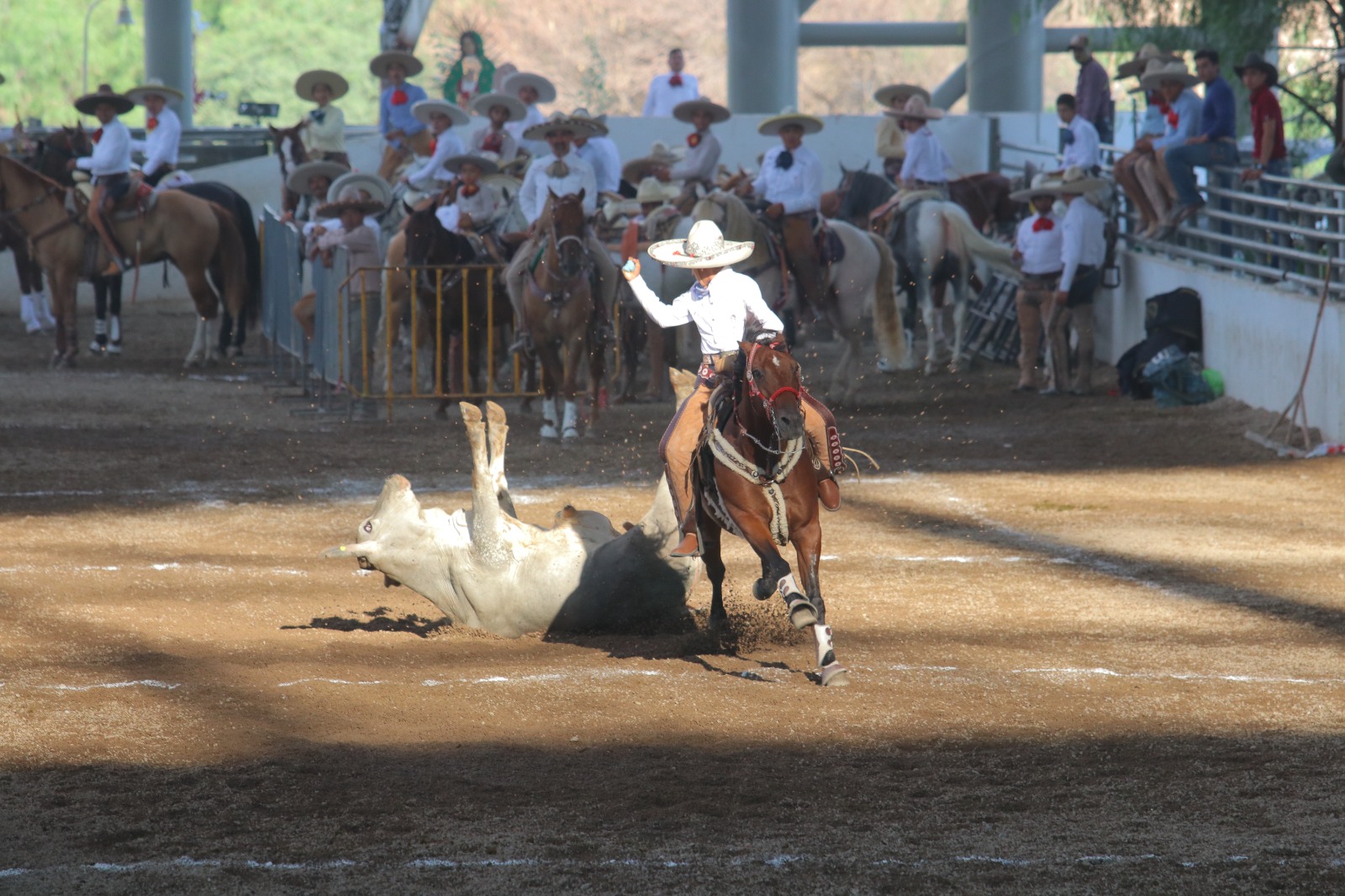 TRES POTRILLOS FINAL JUVENIL