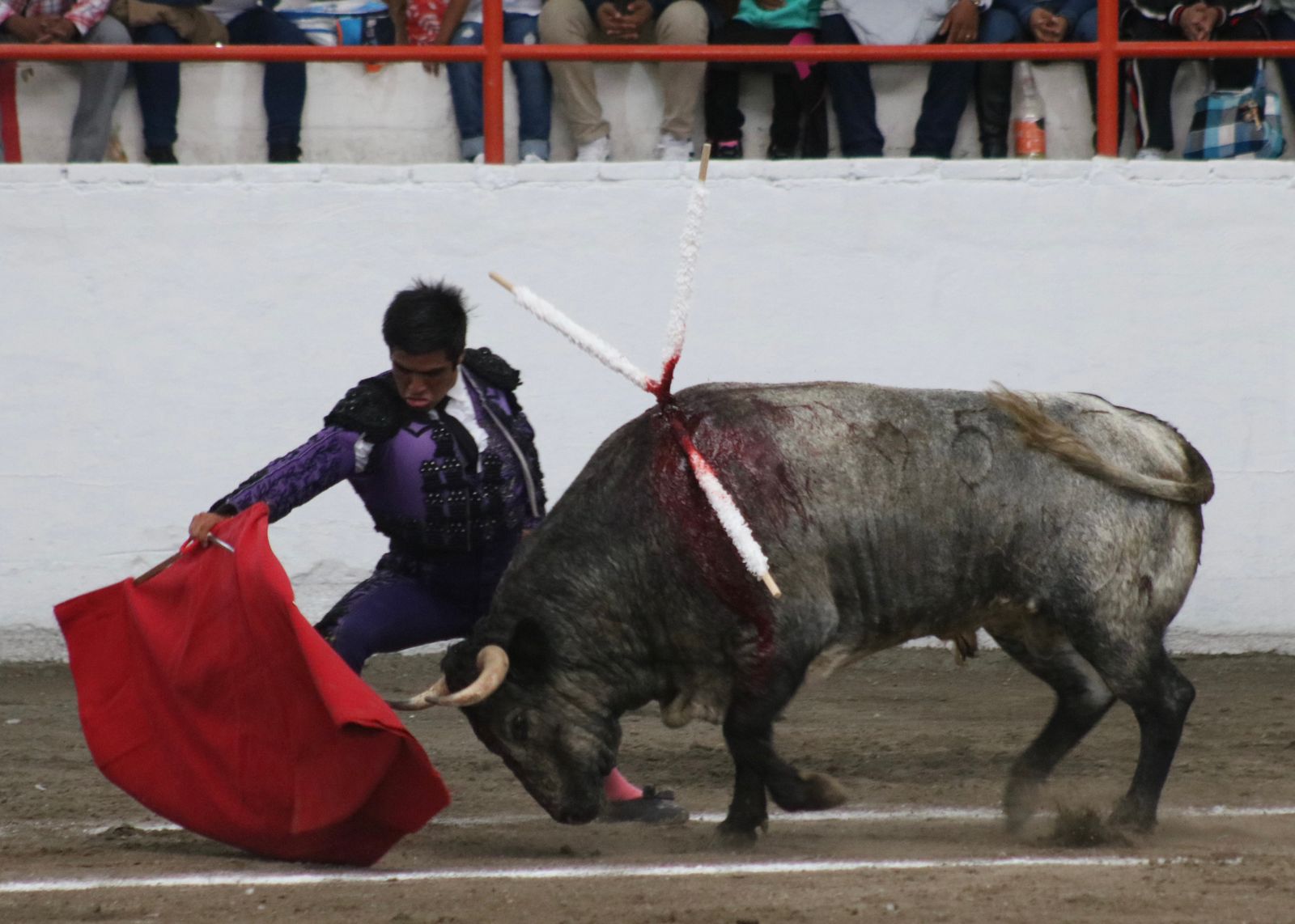 MARTÍNEZ IBELLES TETEPANGO