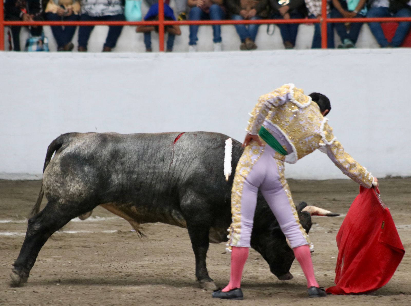 MARTÍNEZ IBELLES TETEPANGO