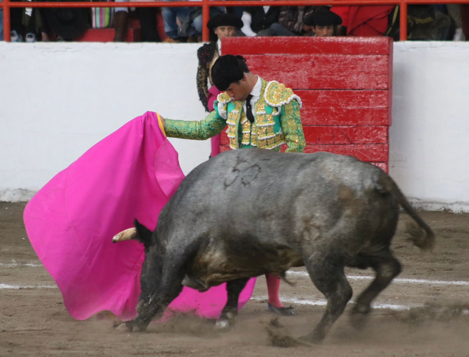 MARTÍNEZ IBELLES TETEPANGO