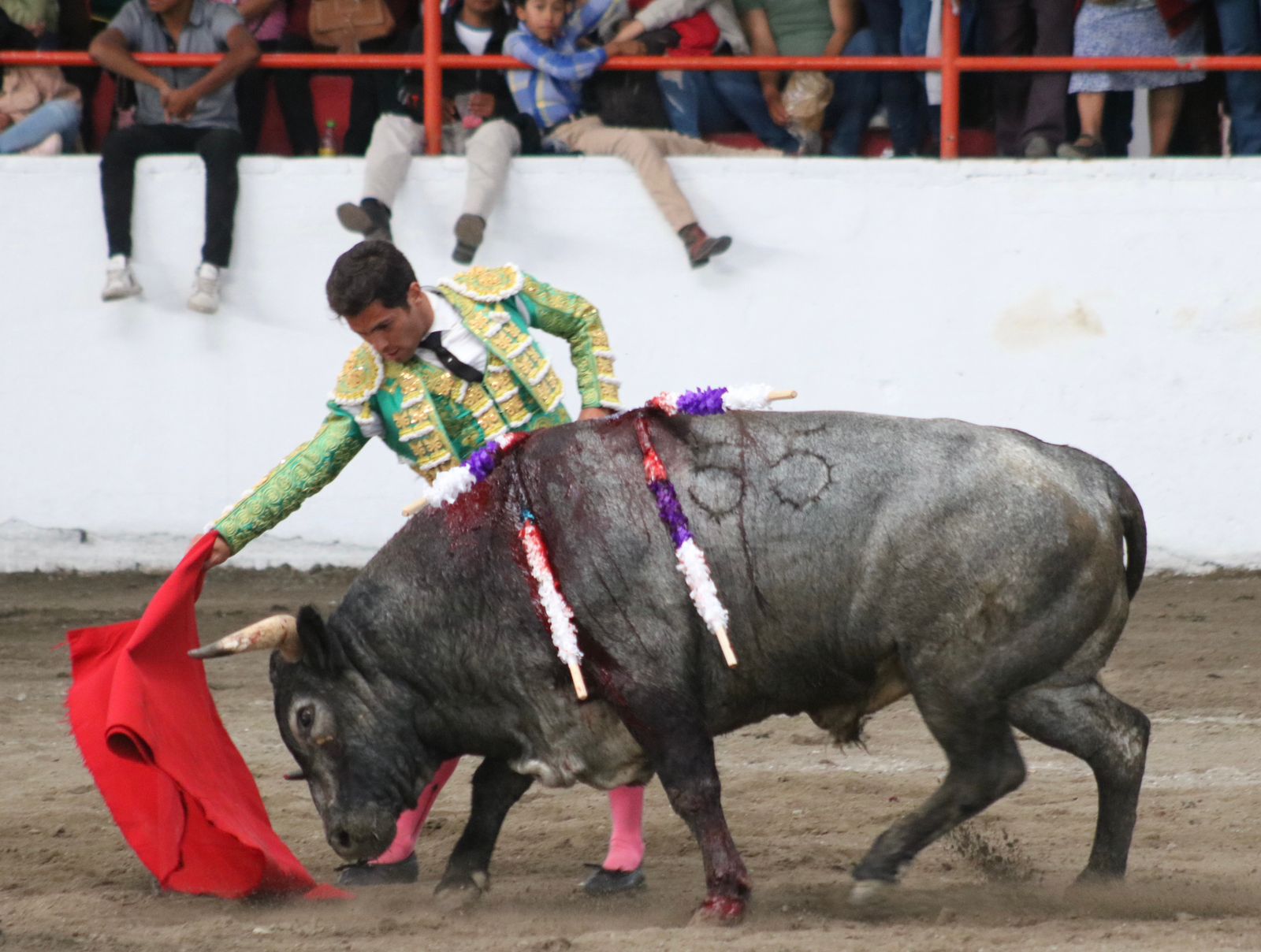 MARTÍNEZ IBELLES TETEPANGO