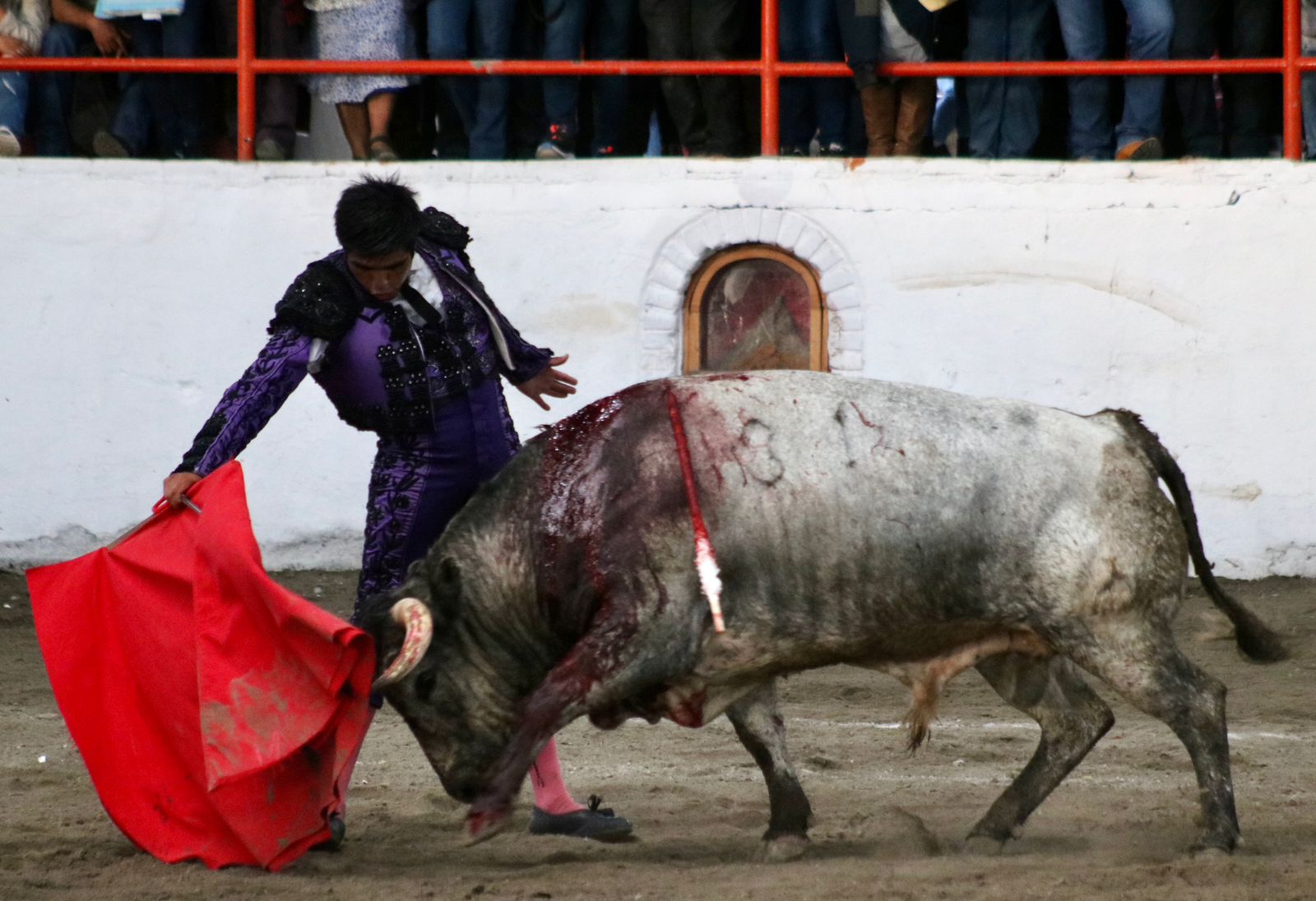 MARTÍNEZ IBELLES TETEPANGO