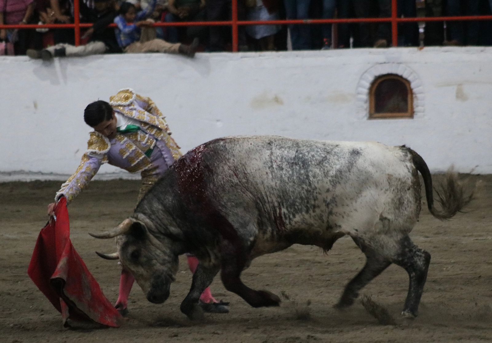 MARTÍNEZ IBELLES TETEPANGO