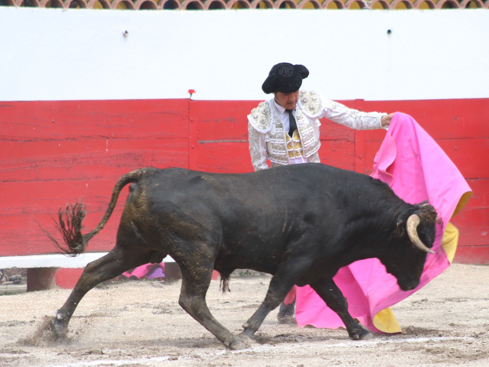 ANGELINO ARRIAGA FLORECITA