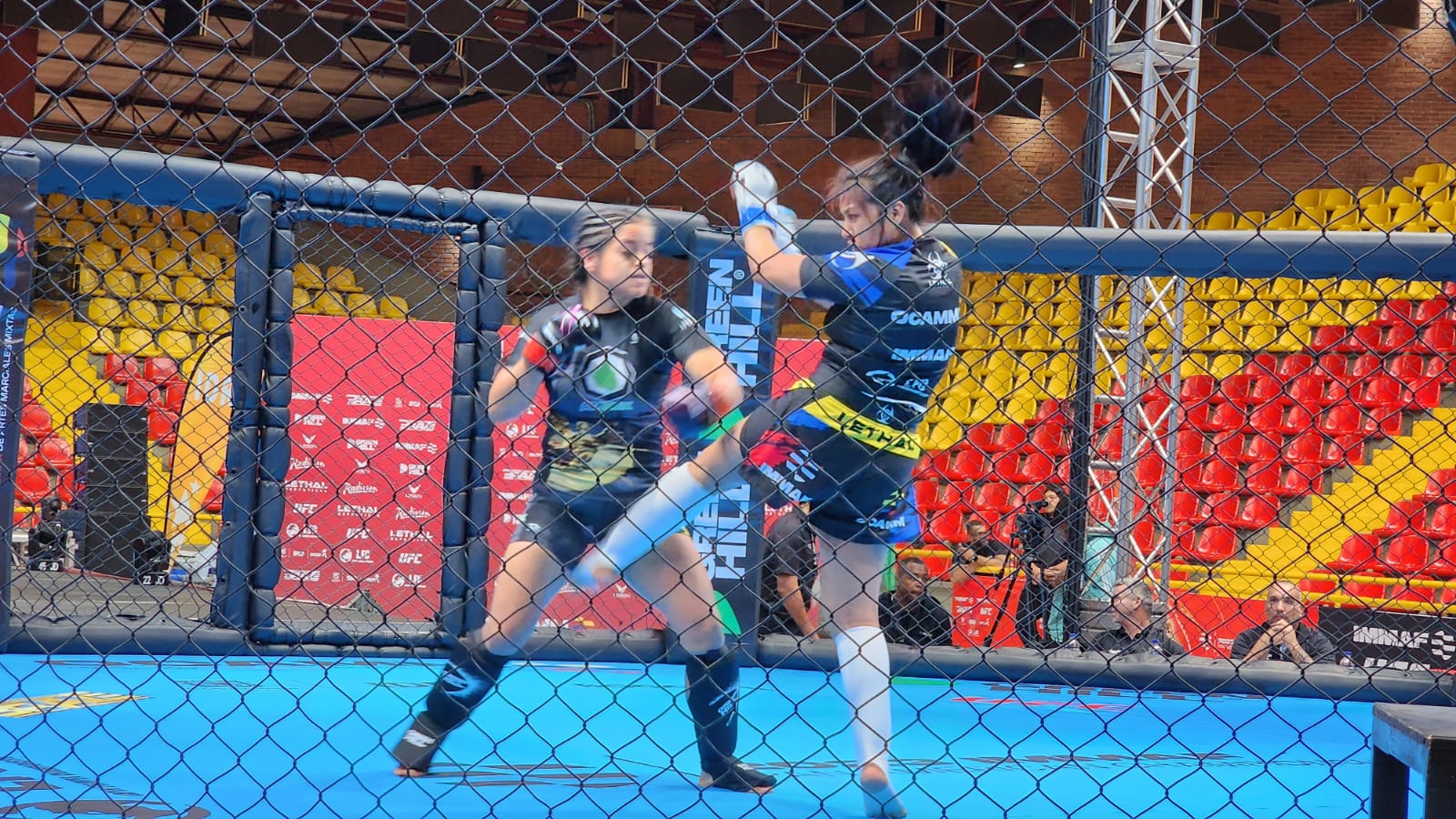 CAMPEONATO PANAMERICANO AMM
