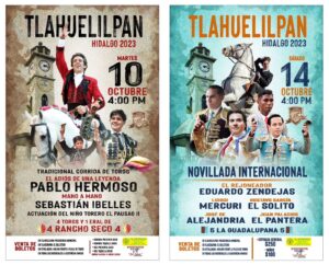 CARTELES TLAHUELILPAN