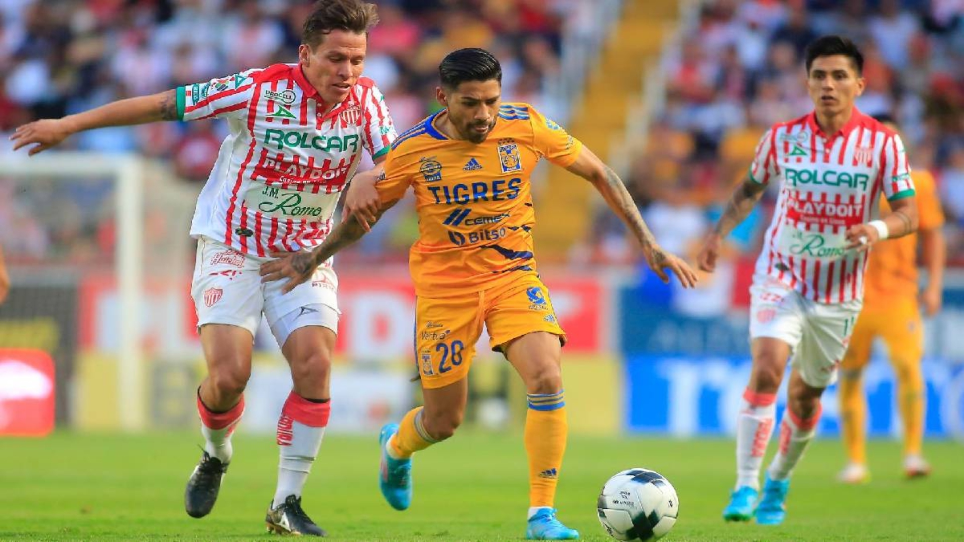 NECAXA SE MEDIRÁ CON TIGRES EN EL ESTADIO VICTORIA Titansports