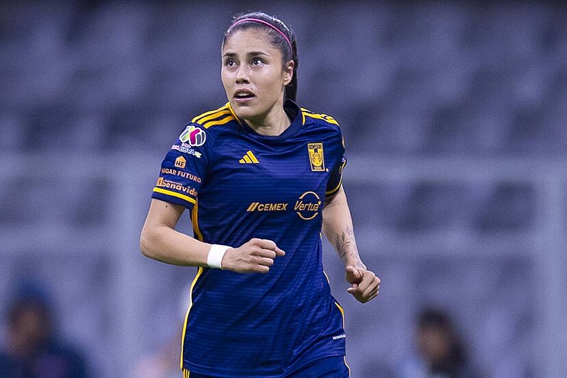 TIGRES FEMENIL