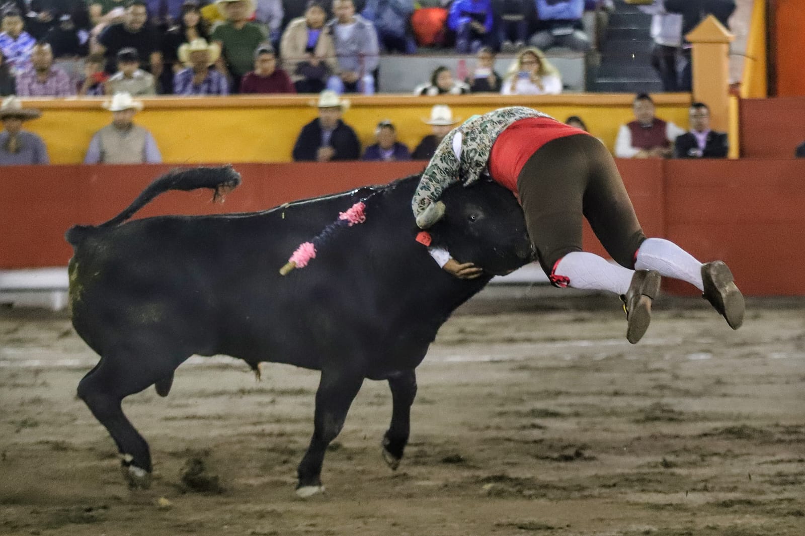 MIGUEL AGUILAR CORTA OREJA