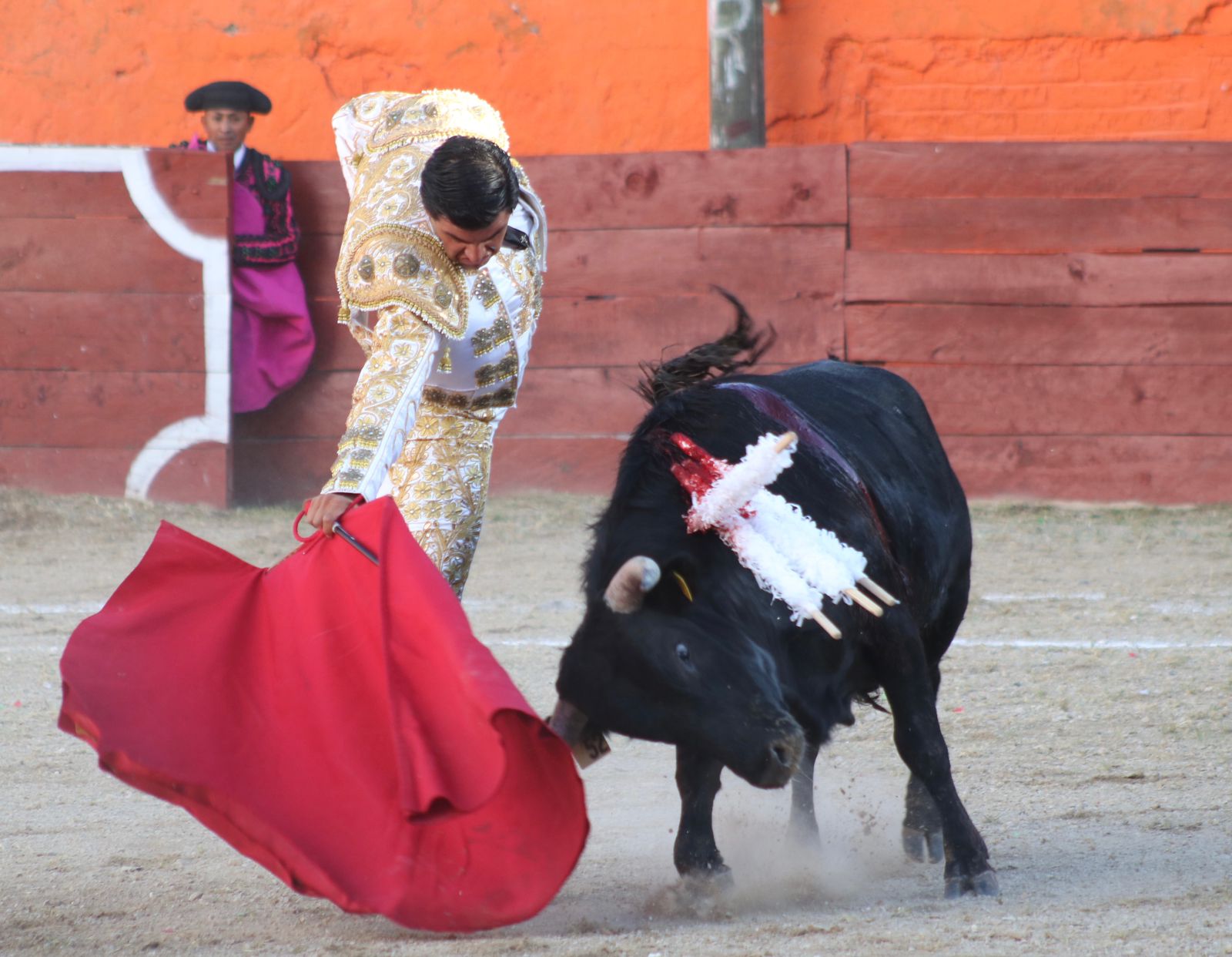 PANTERA CRISTÓBAL CASAS