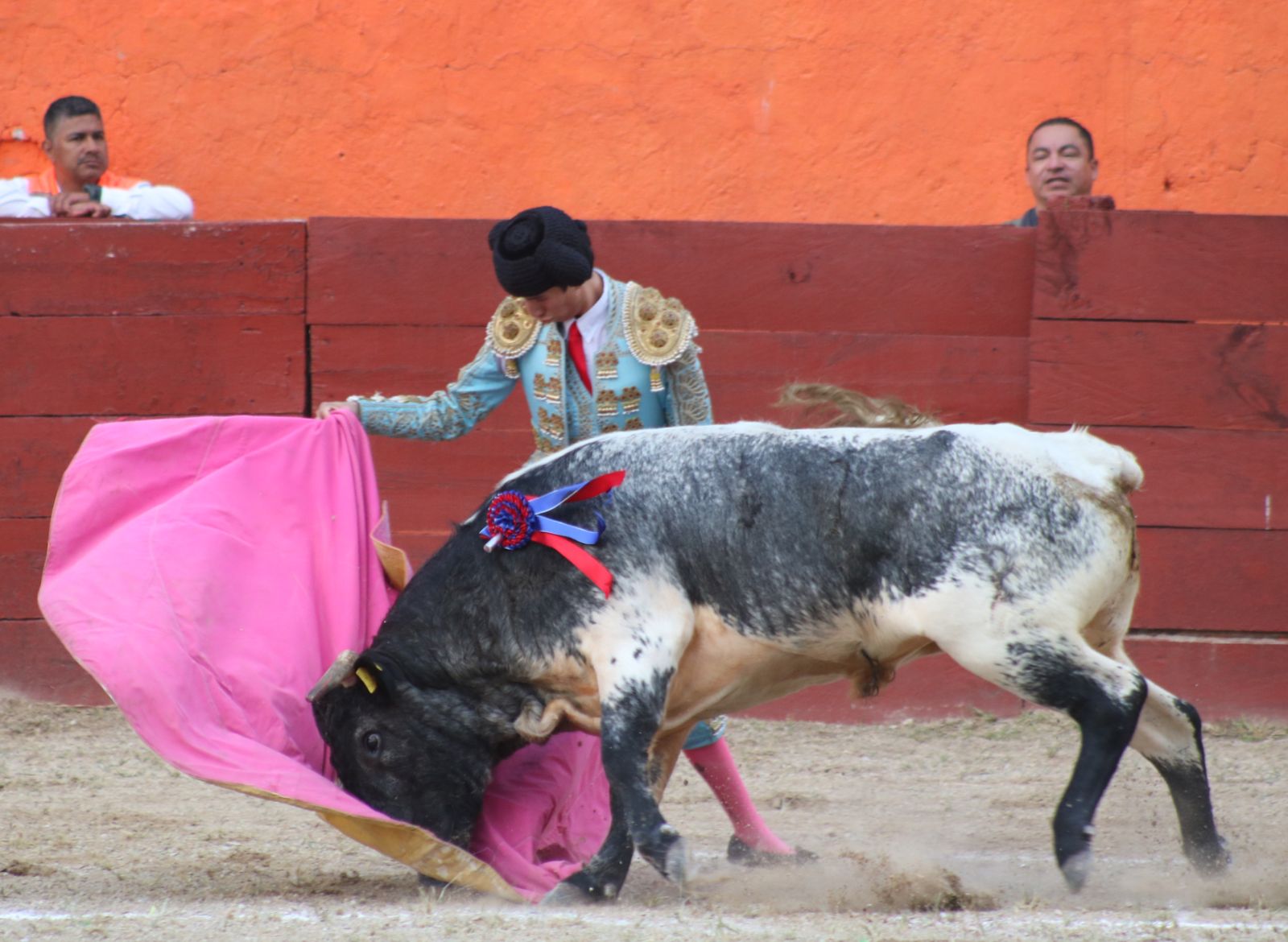 PANTERA CRISTÓBAL CASAS