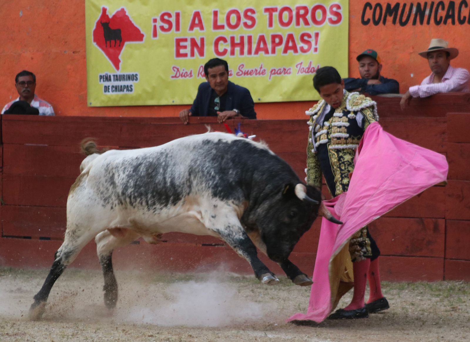 PANTERA CRISTÓBAL CASAS