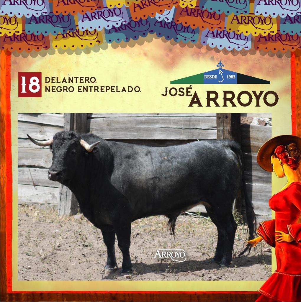 ENCIERRO JOSÉ ARROYO