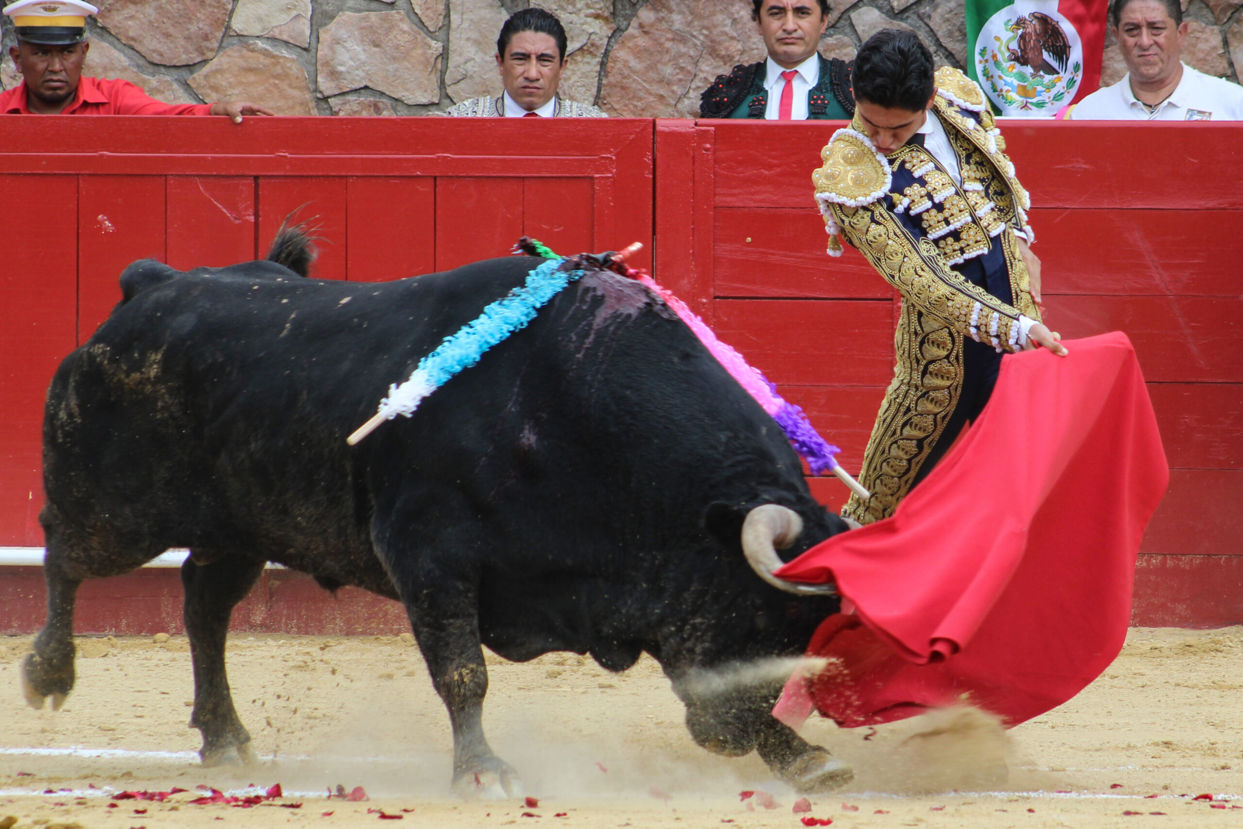 JOSÉ MAURICIO Y HÉCTOR GUTIÉRREZ 