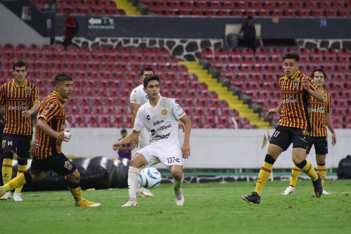 LEONES NEGROS DORADOS