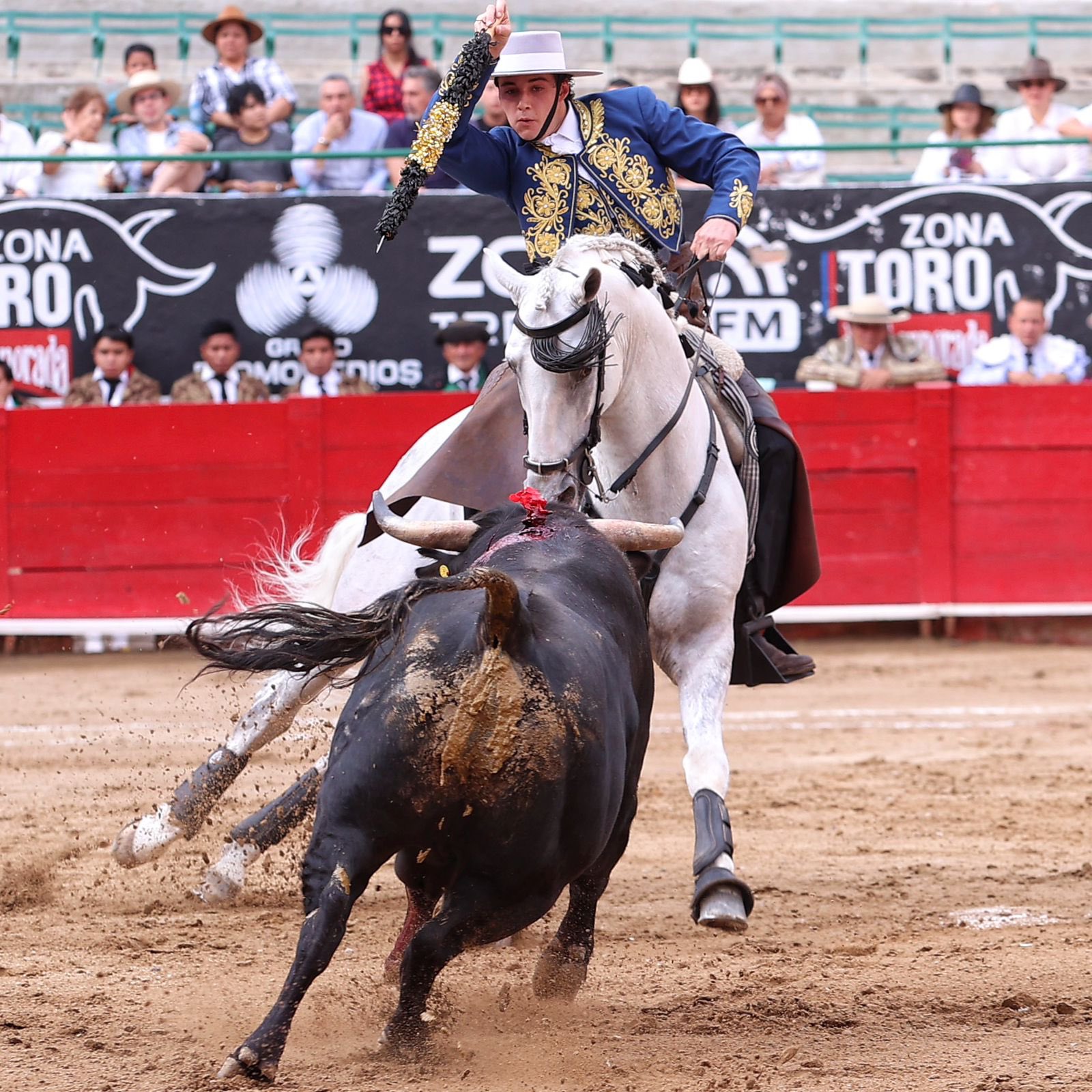 BRUNO ALOI GUADALAJARA 