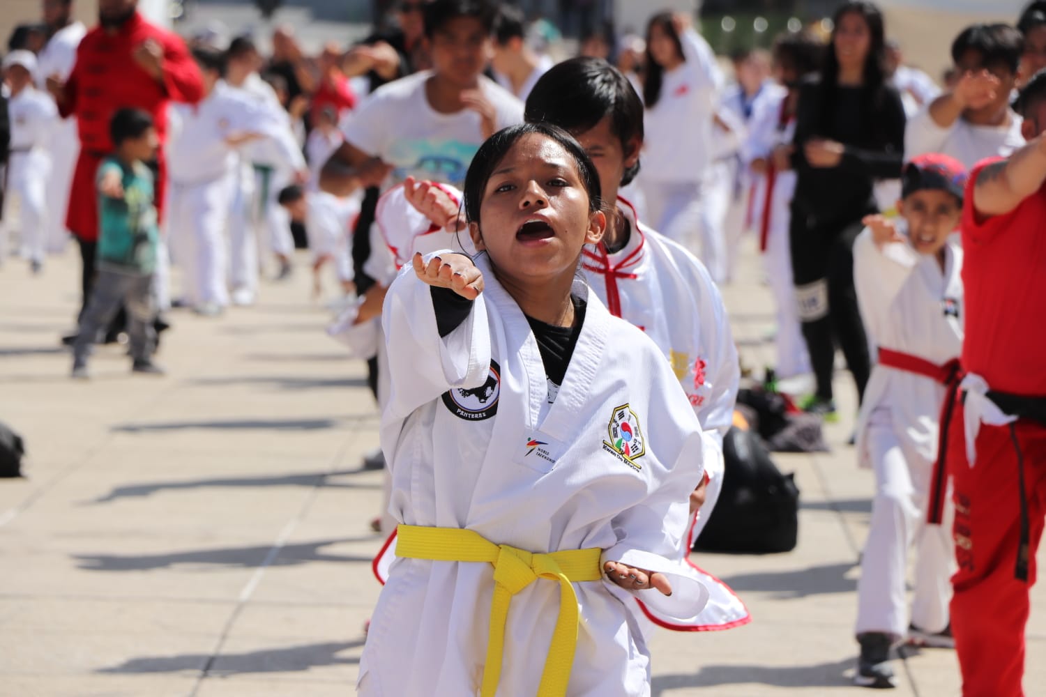 CLASE MASIVA DE ARTES MARCIALES