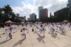 CLASE MASIVA DE ARTES MARCIALES