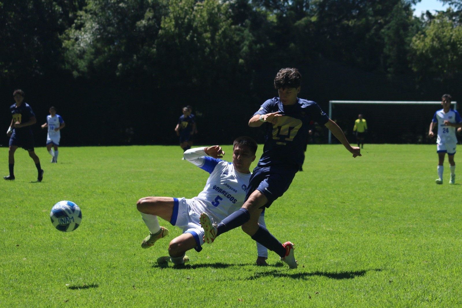 INVICTO EN LA CONADEIP