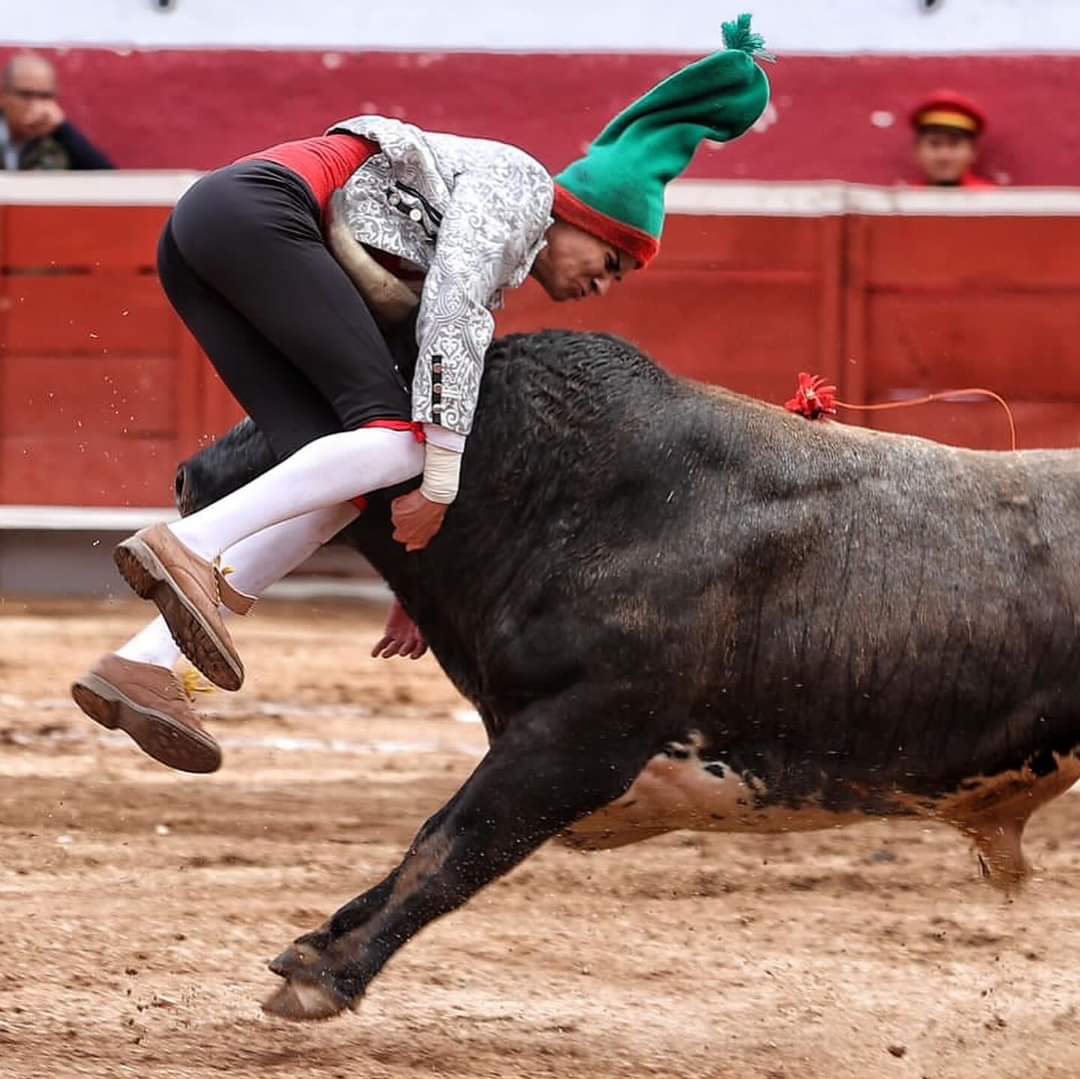 FAURO ALOI ZAPATA PACHUCA 