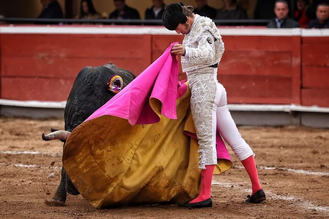 FAURO ALOI ZAPATA PACHUCA 