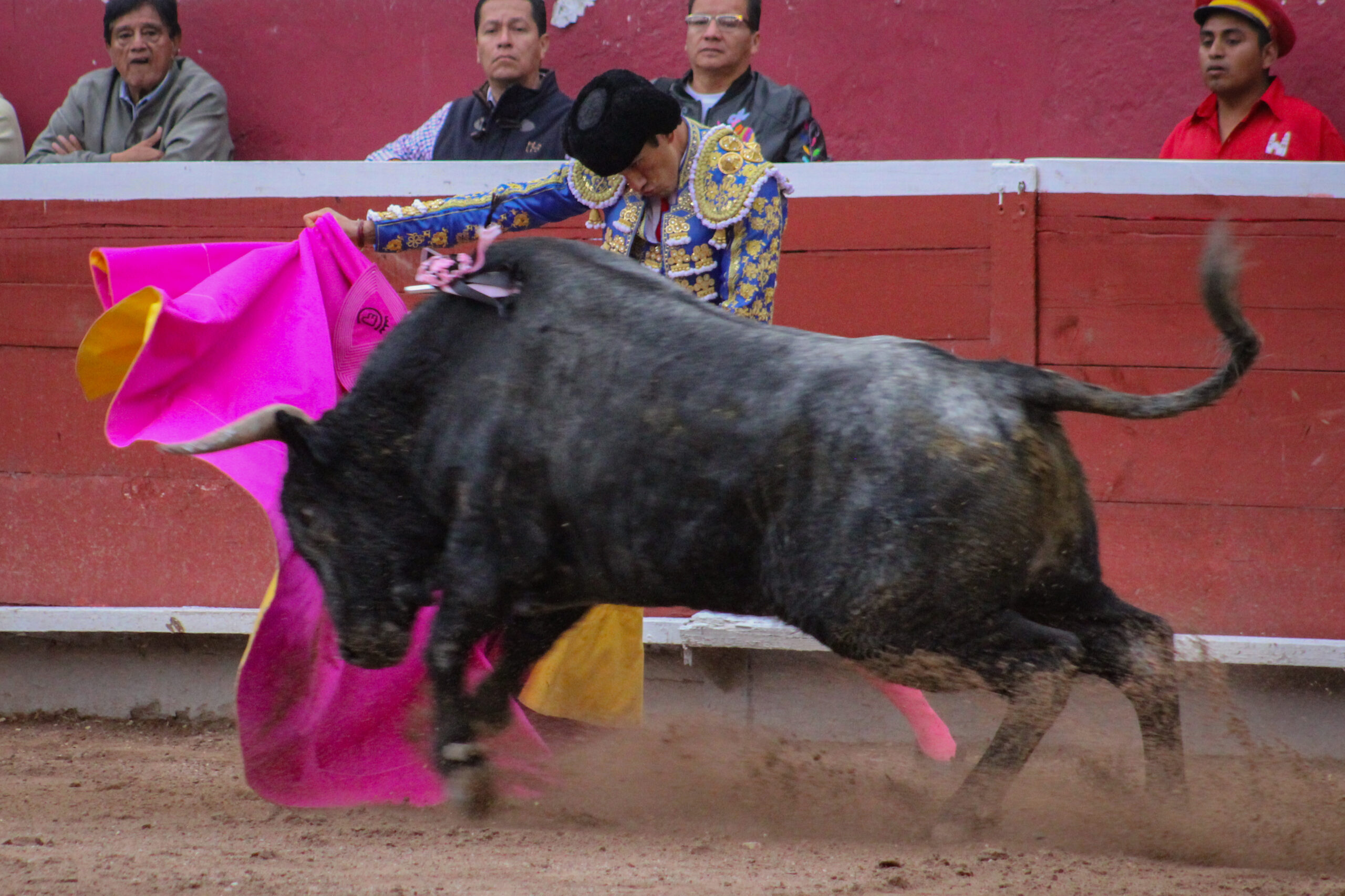 JOSELITO ADAME PACHUCA 