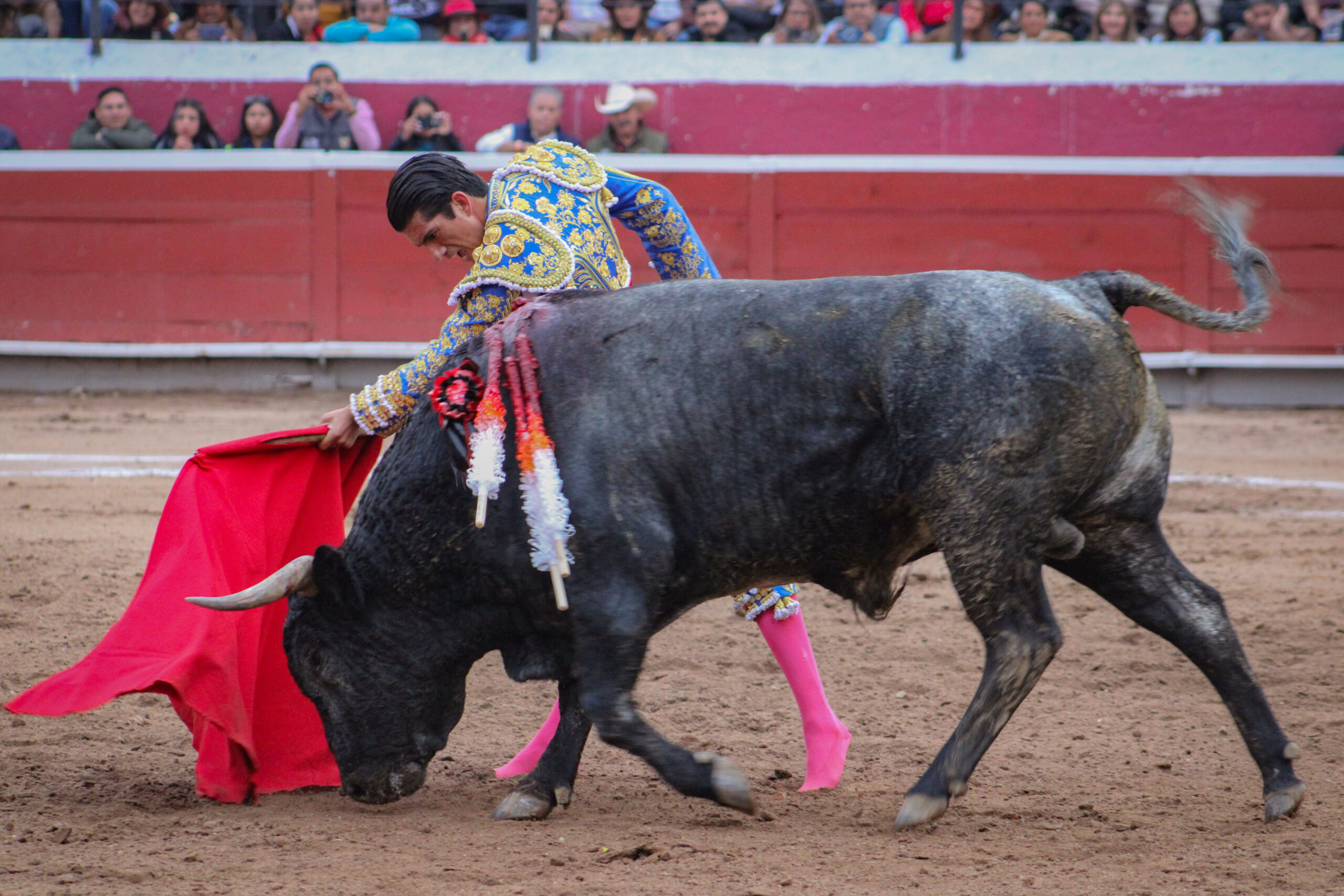 JOSELITO ADAME PACHUCA 