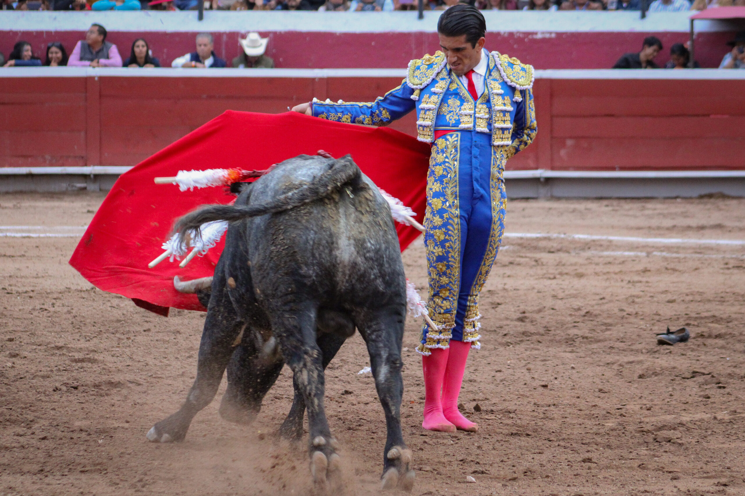 JOSELITO ADAME PACHUCA 