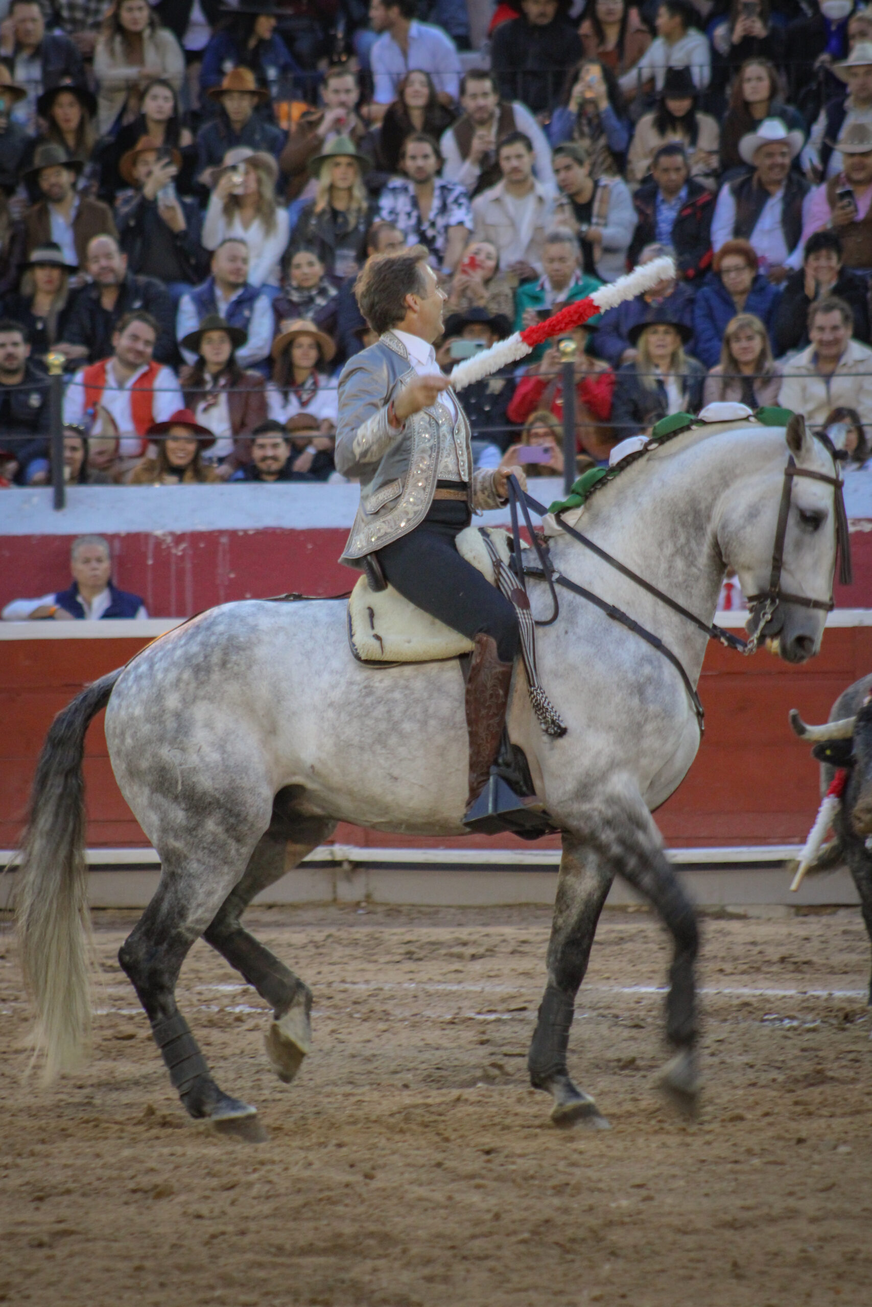 JOSELITO ADAME PACHUCA 