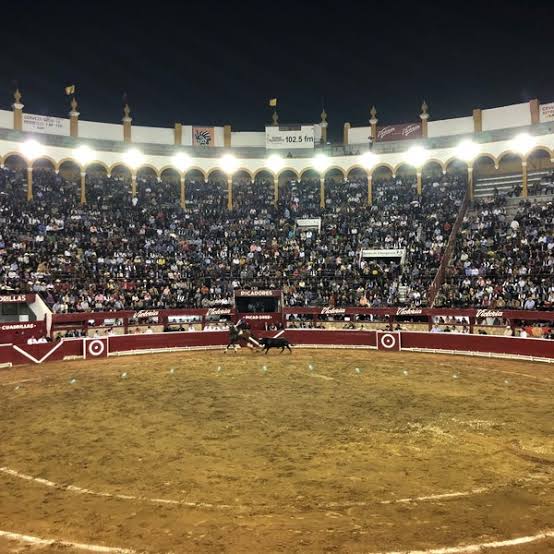 DÍA MUERTOS MORELIA