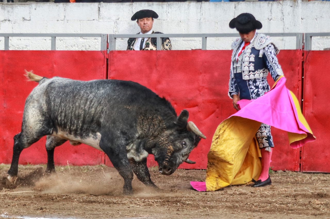 CABRERA Y PALOMO A HOMBROS 