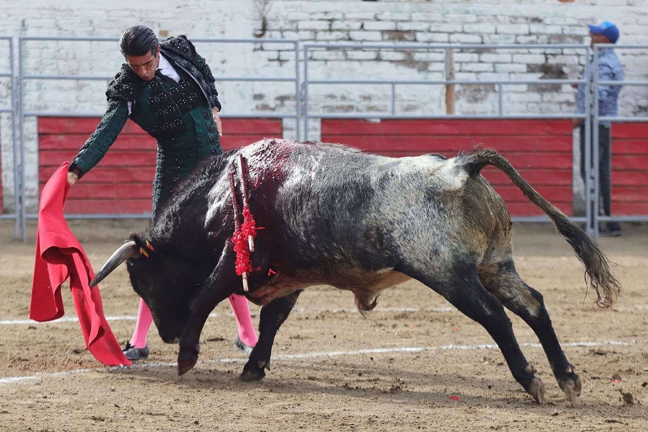 Ernesto Javier “Calita”