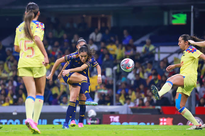 TIGRES FEMENIL