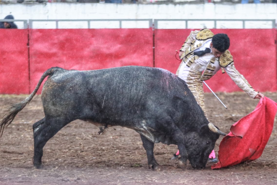 CABRERA Y PALOMO A HOMBROS 